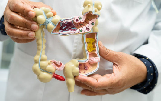 Best Digestive Enzyme Supplements for Gut Health