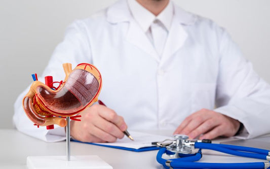 Calcium's Impact on Digestive Function