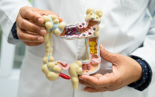 Fulvic Humic Acid: Digestive Health & Detox Benefits