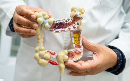 Vitamins for Gut Health: Key Nutrients for Digestion