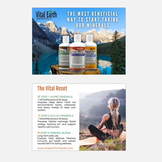 3‑Step Starting Point Postcard Wholesale Informational Material — Free Add‑On