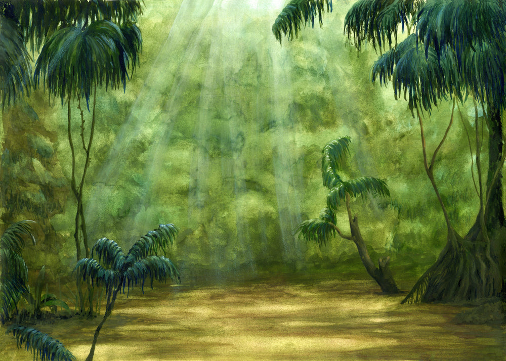 ancientrainforest.jpg