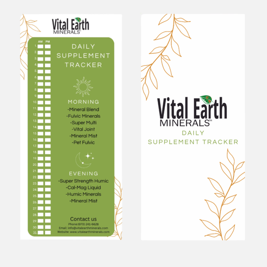 Daily Supplement Tracker — Wholesale Informational Material (Free Add‑On)