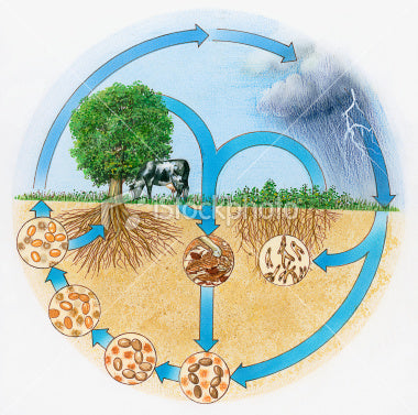 microbes.jpg