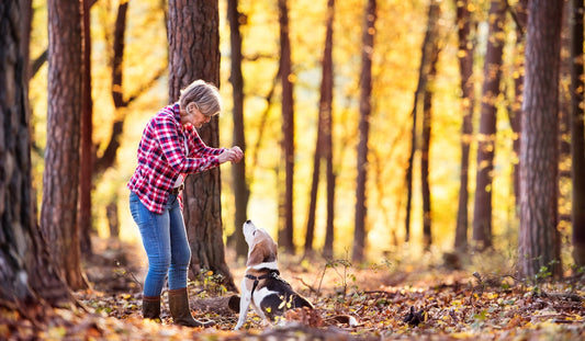 Moms, Menopause & Fall Fatigue: Why Your Body Might Be Craving Mineral Support