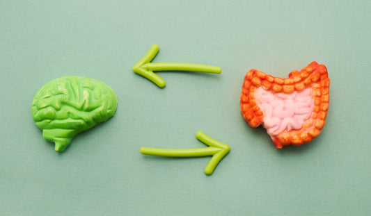 The Gut-Brain Connection: How Trace Minerals Support Digestive and Cognitive Wellness