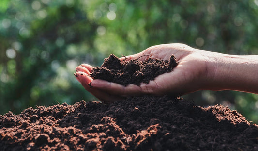 Sources of Fulvic and Humic Acid