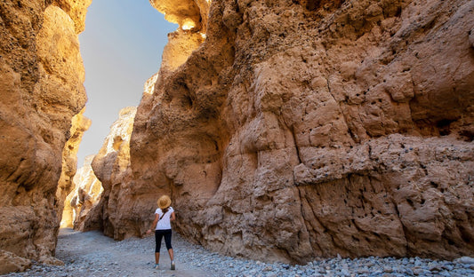 A Natural Daily Routine for Steady Energy and Whole-Body Balance