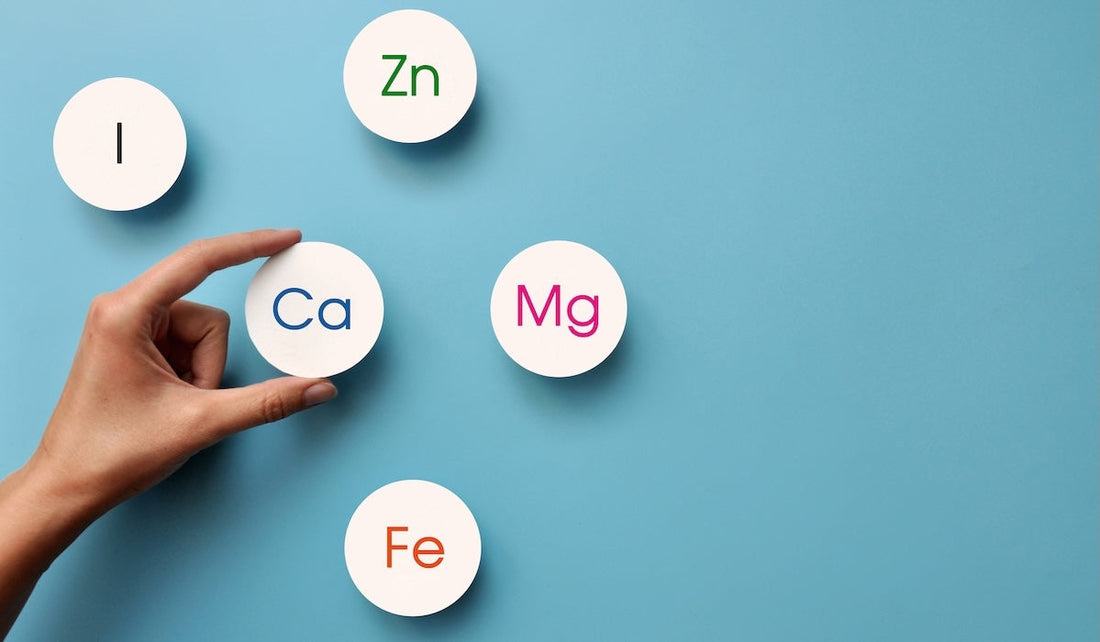 Calcium's Impact on Digestive Function