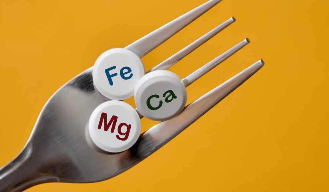 Best Vitamins For Bone Health: A Comprehensive Guide