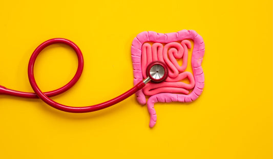 How Fulvic Acid Supports Gut Health and the Microbiome
