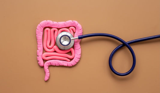 Humic Minerals and Gut Health — The Science