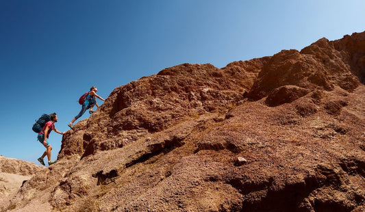 MSM for Joint and Ligament Support: How Sulfur Helps Maintain Healthy Movement