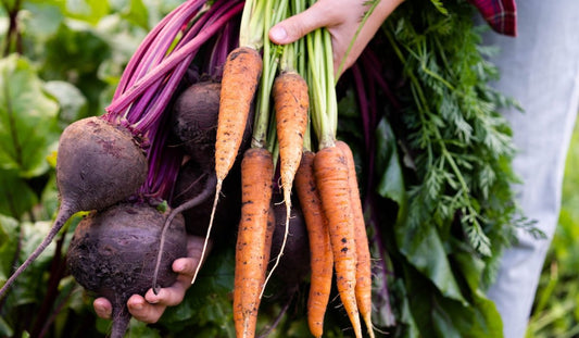 What Food Sources Contain Humic Minerals?