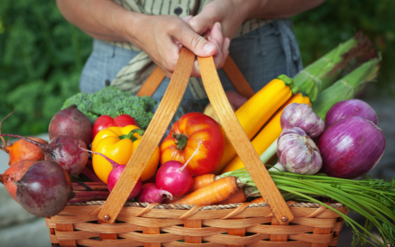 Active vs. Inactive Carbon in Your Diet: How It Impacts Gut Health and