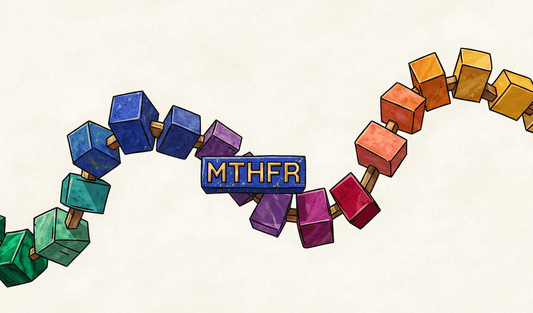 What Is MTHFR and Why Do Methylated Vitamins Matter?