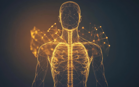 The Hidden Key to Mobility