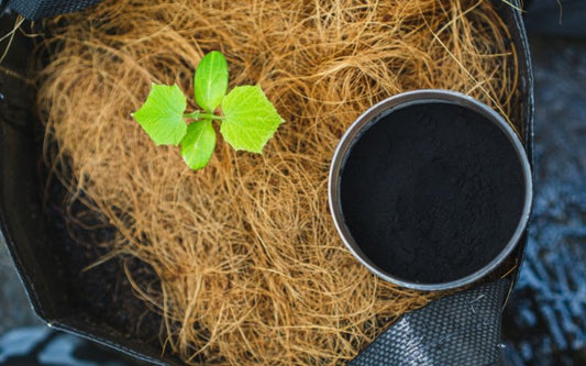  Fulvic Acid: Detox & Energy Boost - Vital Earth