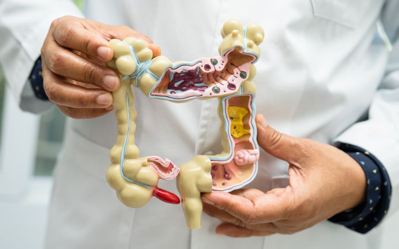  Fulvic Humic Acid: Digestive Health & Detox Benefits