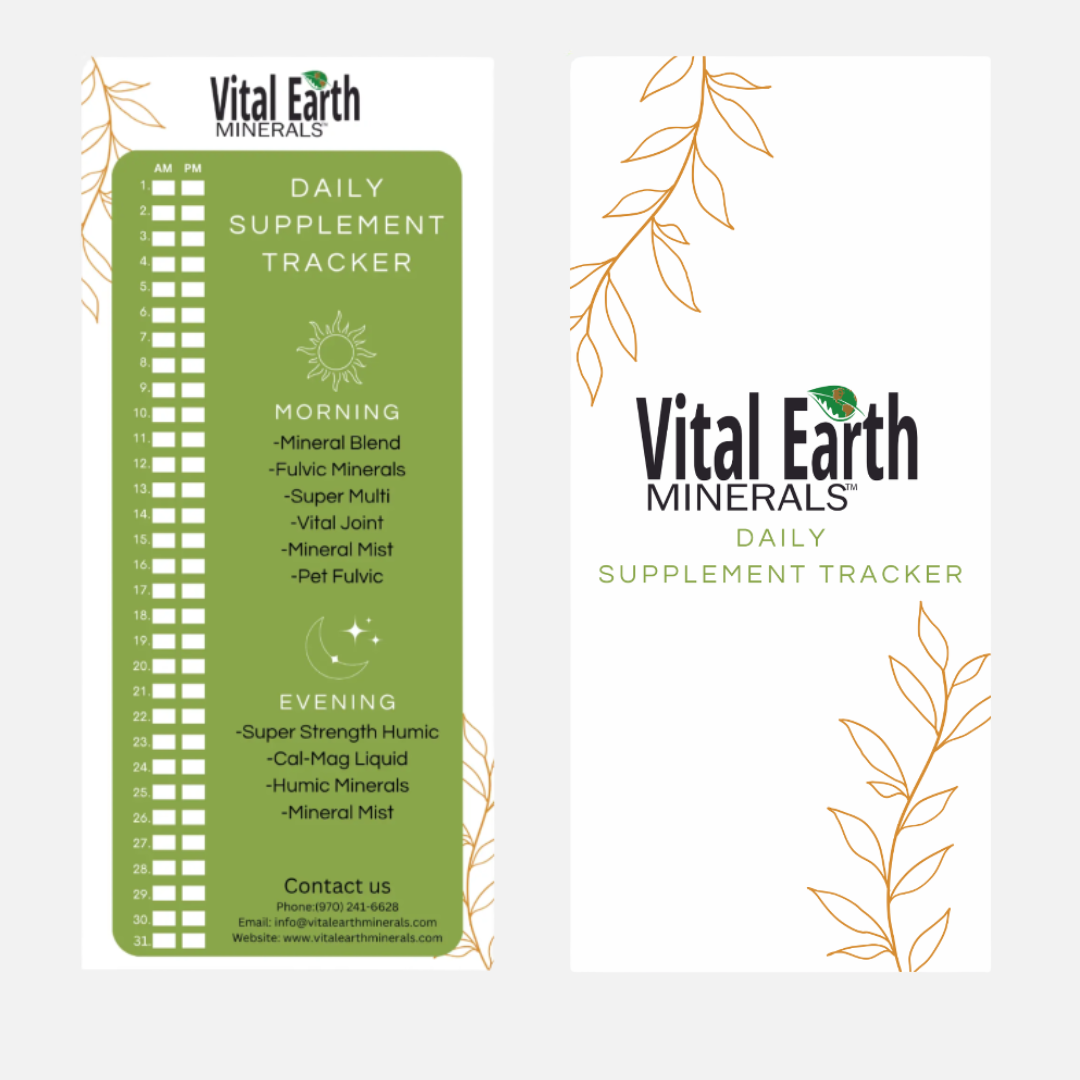 Daily Supplement Tracker — Wholesale Informational Material (Free Add‑On)