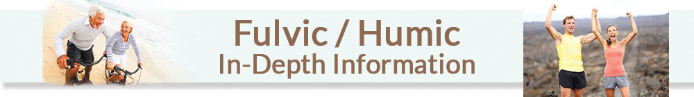 indepthbanner.jpg